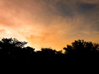 Fototapeta na wymiar sunset sky in the forest