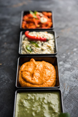 Group of Indian Chutneys includes coconut, Peanut, green and red chilly, garlic and pudina served in small square shape bowls. selective focus