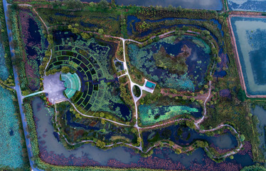 China wetland park