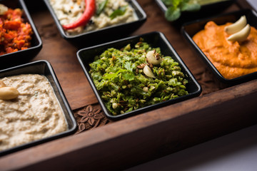 Group of Indian Chutneys includes coconut, Peanut, green and red chilly, garlic and pudina served in small square shape bowls. selective focus