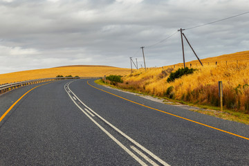 Curvy countryside road in South Africa in spring season