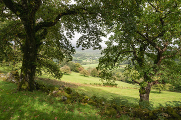 Landscape image of view from Precipice Walk in Snowdonia overlooking Barmouth and Coed-y-Brenin forest during rainy afternoon in September