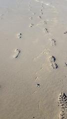 Footsteps in sand of beach