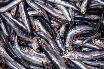 fish, food, fresh, market, seafood, sea, fishing, raw, animal, ocean, freshness, healthy, mackerel, catch, ice, silver, fin, diet, ingredient, nature, head, health, fish market