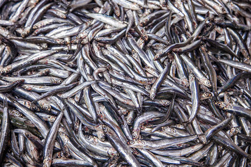 fish, food, fresh, market, seafood, sea, fishing, raw, animal, ocean, freshness, healthy, mackerel, catch, ice, silver, fin, diet, ingredient, nature, head, health, fish market