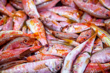 food, fish, fresh, seafood, meat, barbecue, meal, shrimp, red, sausage, grill, cooking, market, grilled, delicious, dinner, sausages, prawn, closeup, sea, hot, chicken, gourmet, fried, plate