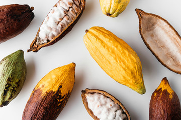 Cocoa pods on a white background, creative flat lay food concept