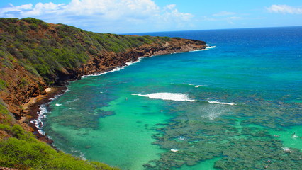 ハワイ オアフ島 ハナウマ湾