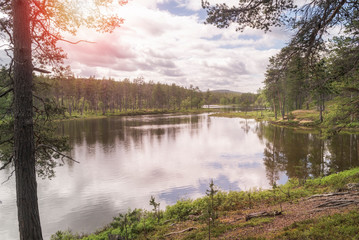 Lapland landscape in summer. RIvers and woods.