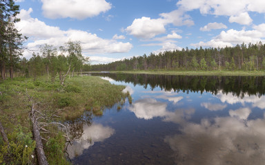 Fototapeta na wymiar Lapland landscape in summer. RIvers and woods.