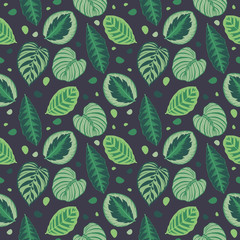Seamless graphic illustration pattern with green tropical Calathea prayer plant leaves