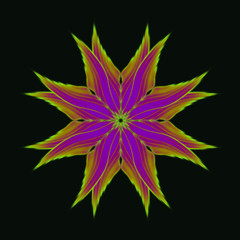 Floral_Flames_Yellow