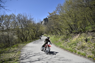 Fototapeta premium mountain biking in the forest