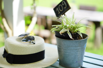 grass, hat and Small tree on table with blur background