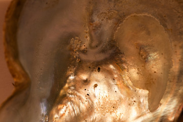 abstract, texture, mussel, shell, cloud, clouds, blue, light, space, orange, sun, dark, color, sunset, grunge, yellow, black, red, fire, backdrop, galaxy, bright, moon, astronomy, nebula, night, brown