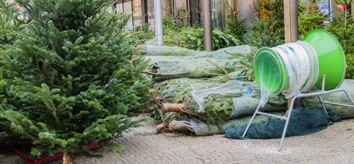 Weihnachtsbäume Weihnachtsbaumverkauf Weihnachtsmarkt