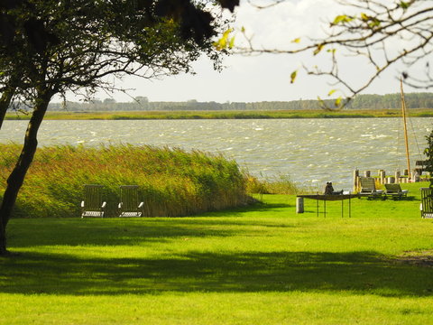 Am Saaler Bodden bei Wustrow, Halbinsel Fischland, Mecklenburg-Vorpommern, Deutschland