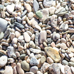 pebblesPebble stones of different colors and shapes background.
