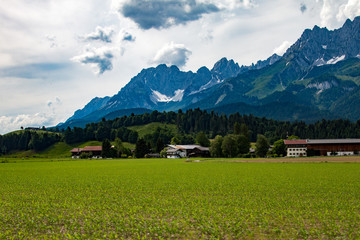 Fototapeta premium Natura - góry