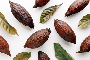 Cocoa pods with cocoa leaves on a white background, creative flat lay food concept