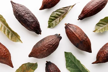 Foto op Canvas Cocoa pods with cocoa leaves on a white background, creative flat lay food concept © SEE D JAN