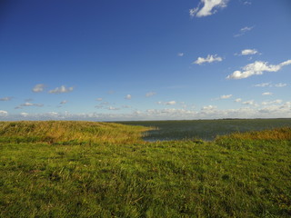 Am Saaler Bodden bei Wustrow, Halbinsel Fischland, Mecklenburg-Vorpommern, Deutschland