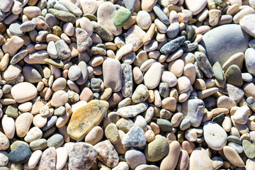 pebblesPebble stones of different colors and shapes background.