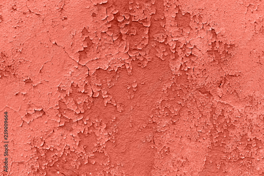 Wall mural living coral color of the year 2019. closeup of peeling painted wall. old cracked paint on wall