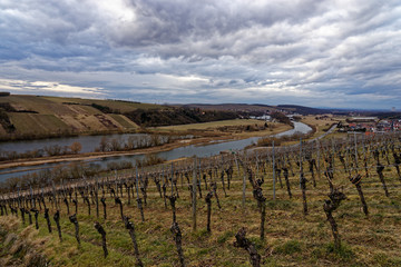 Landschaft und Weinberge bei Stammheim, Landkreis Schweinfurt, Unterfranken, Franken,  Bayern, Deutschland