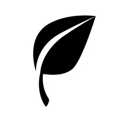 leaf vector icon