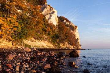 Kreidefelsen mit herbstlichen Laubb&auml;umen am Strand von M&ouml;ns Klint