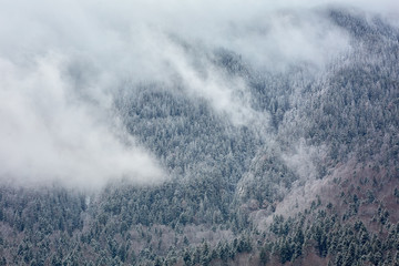 Fototapeta na wymiar Landscape with mountain range