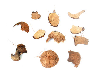 Hard shell of coconut,coconut shell white background.