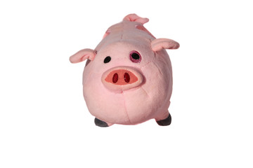 Standing in front pink pig on the white background
