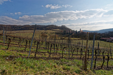 Fototapeta na wymiar Landschaft und Weinberge bei Castell, Landkreis Kitzingen, Unterfranken, Franken, Bayern, Deutschland