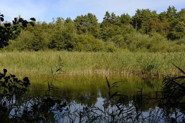 .Der Prerowstrom im Ostseebad Prerow, Nationalpark Vorpommersche Boddenlandschaft, Mecklenburg Vorpommern, Deutschland..