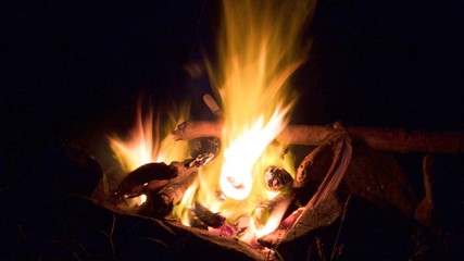 Campfire 02