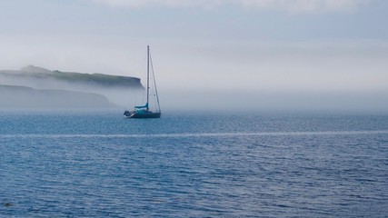 Obraz premium Zamglenie