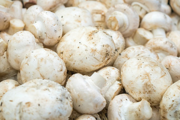 Fresh white button mushrooms on the farmers' market