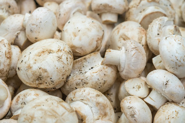 Fresh white button mushrooms on the farmers' market