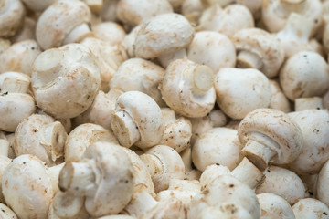 Fresh white button mushrooms on the farmers' market