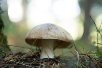 ein schönen Hut hat er