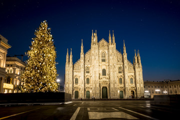 Fototapeta na wymiar Milan (Italy) in winter: Christmas tree in front of Milan cathedral, Duomo square in december, night view. Starry sky.