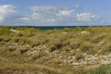 .DŸnen und DŸnenschutzwald an der Ostsee, Ostseebad Prerow, Nationalpark Vorpommersche Boddenlandschaft, Mecklenburg Vorpommern, Deutschland..