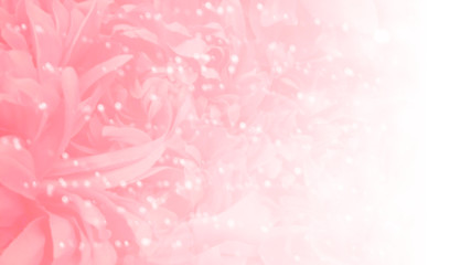 Pink flowers background (fading white) with glowing sparkling bokeh lights. For Valentine's, Romantic events. Copy space available