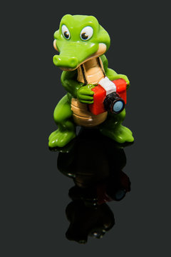 Crocodile photographer in studio with reflection