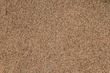 Leaf of granular ruberoid close up. Texture