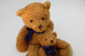 クマのぬいぐるみ　白バック