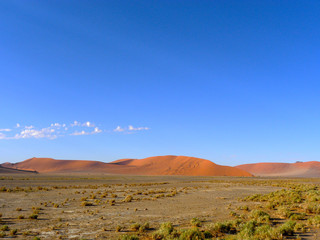 Namib Desert