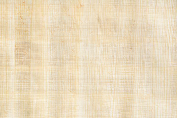 Real old payrus paper background and texture number 2. Close up macro.